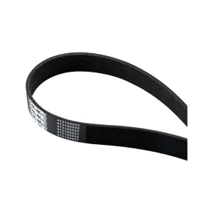 Pacific Performance Engineering - 413100655 | PPE Performance Replacement Serpentine Belt For OEM 10PK1664 & K100655 Belt - Image 1