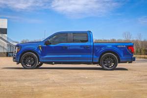 Rough Country - 48340 | Rough Country 3 Inch Lowering Kit, 5 Inch Rear Lowering, M1 Struts And Shocks For Ford F-150 4WD - Image 2