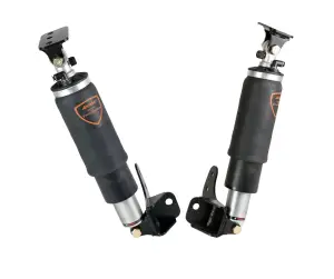 11225501 | Ridetech Rear HQ Shockwaves For GM A-Body | For Use With Moser & GearFX 9"
